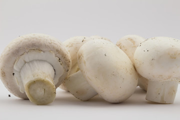 Button mushrooms isolated on white