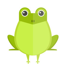 Australian green tree frog, isolated on white