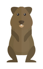 Cute standing brown hamster cartoon flat vector illustration. 