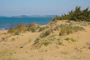 Spiaggia della Giannella in Toscana