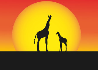 Fototapeta na wymiar African giraffes in silhouette landscape
