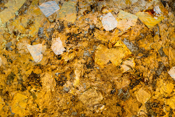 The gold leaf. For the background and textures.