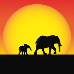 Fototapeta na wymiar landscape in africa with elephants family