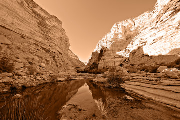 Fototapeta na wymiar Unique canyon in the Negev desert.