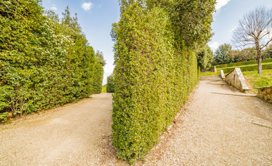 Italian-style gardens in Florence
