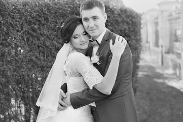 Newlyweds at the wedding a walk in the countryside