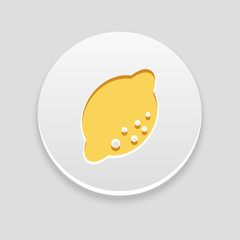 Lemon icon. Fruit vector illustration