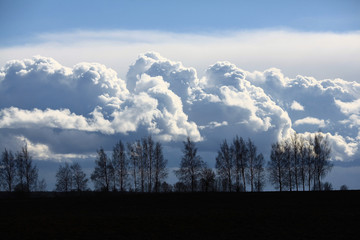 beautiful spring clouds over trees