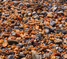 Plenty of colorful pebbles on the seashore.