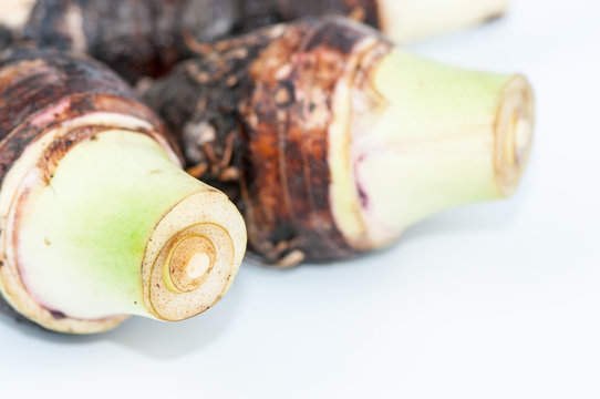 closeup of taro