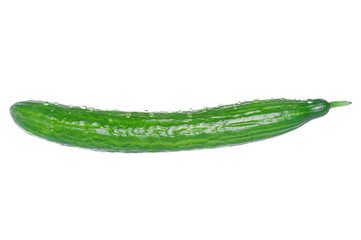 Ripe cucumber with water drops on white background