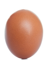 Brown egg closeup on white background