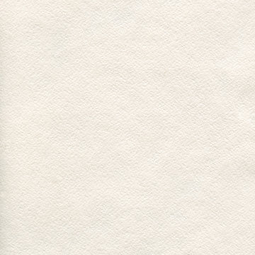 Watercolor paper texture or background. Highly-textured white watercolor paper.