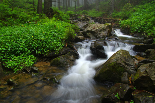 Creek in the woods