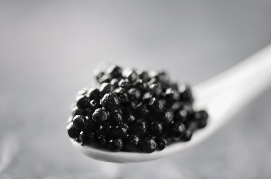 spoon of black caviar on a gray background
