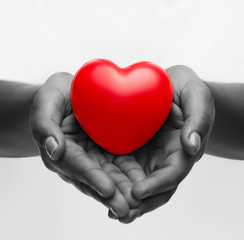 Fototapeta premium female hands with small red heart