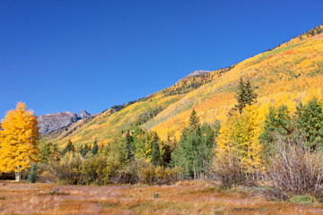 Fototapeta premium Autumn in the Colorado Mountains