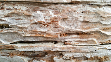 Wooden pattern texture