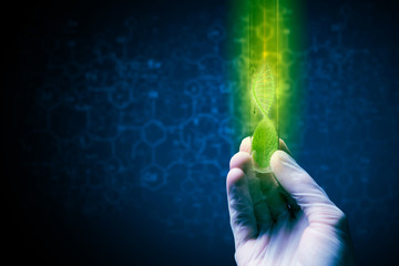 Science research test © Sergey Nivens