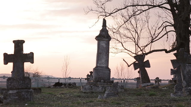 It is very old cemetery. There are many graves from 16 to 21 centuries. It was shot just before sunset therefore some lightflares are very real. Full HD video shot with Canon 6d 25fps and slider.