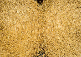 Hintergrund - Zwei Rundballen in spiegelsymmetrischer Anordnung