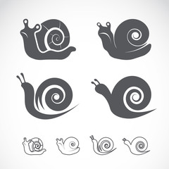Vector group of a snail on white background