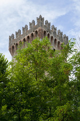 Obraz premium Castle's tower hidden in the woods