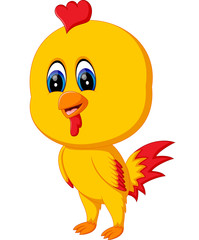 illustration of Cute baby rooster cartoon 