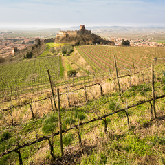 View of Soave (Italy) and its famous medieval castle. - 105708034
