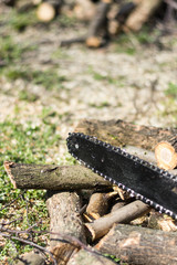 Chainsaw over fresh cutted firewood