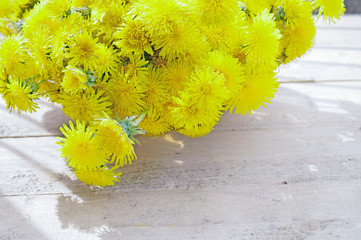 Yellow dandelions on wooden background
