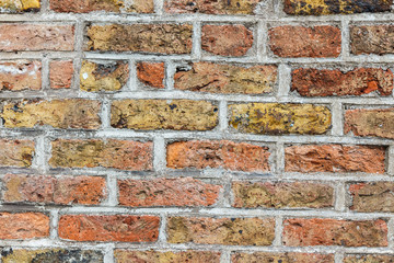 Brick wall. Multicolor texture. Can be used as background