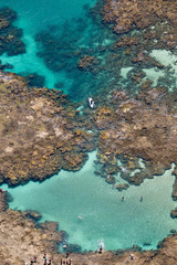 Vista aérea de recifes de corais com atividades aquáticas