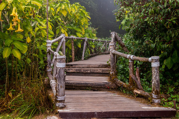 Wooden path way