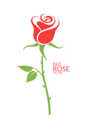 Rose.  Red flower on white background - obrazy, fototapety, plakaty