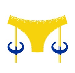  Lingerie icon simple. European money sign