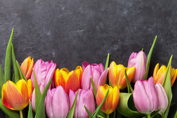 Fresh colorful tulip flowers