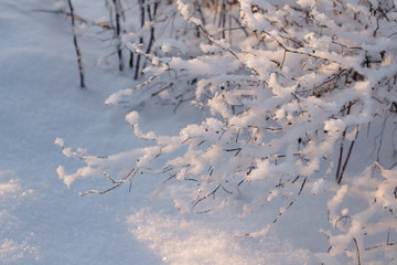 frost and sun - a wonderful day!