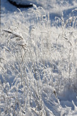 frost and sun - a wonderful day!