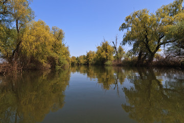 Obraz premium river channel