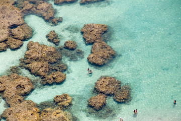 paisagens aéreas dos recifes de corais de Porto de Galinhas, Pernambuco, Brasil