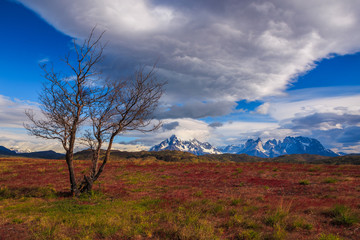 Around Chilean Patagonia