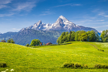 Idyllic landscape in the Alps with green meadows and mountain tops