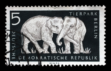 Naklejka premium Stamp printed in GDR shows Elephant, Berlin, German Zoological Garden, circa 1956