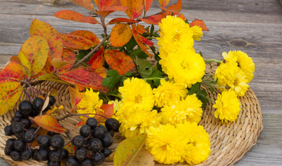 желтые осенние цветы и ветка черной рябины