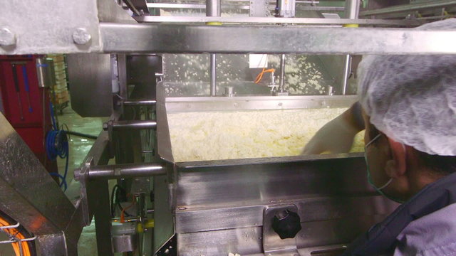 Cheese production plant, Industrial equipment at dairy factory