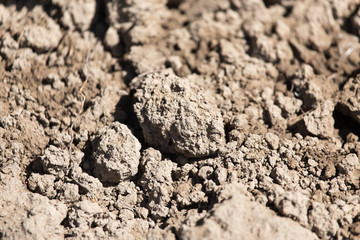 background soil