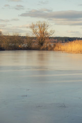 Lonely tree over a frozen lake.