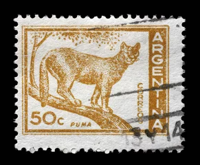 Stof per meter Poema Stempel gedrukt in Argentinië toont Puma, Cougar, Puma Concolor, circa 1960
