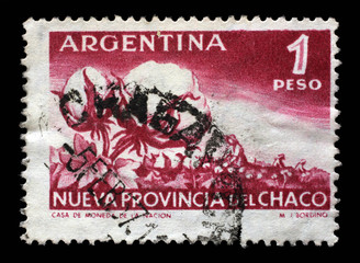 Stamp printed in the Argentina shows Cotton Plant and Harvest, Elevation of the Territory Chaco to Province, circa 1956
